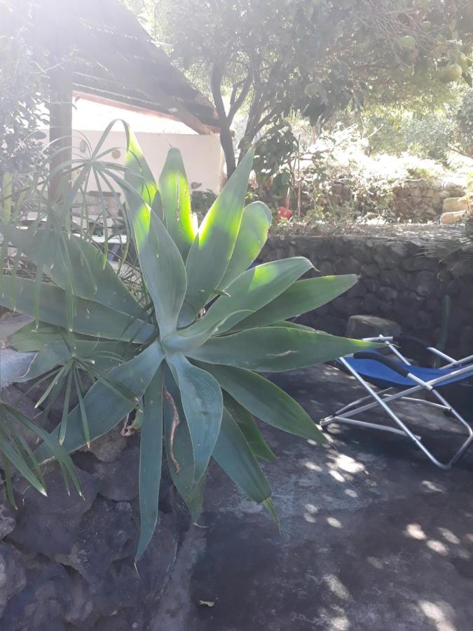 Stromboliparadise Piscita Bagian luar foto