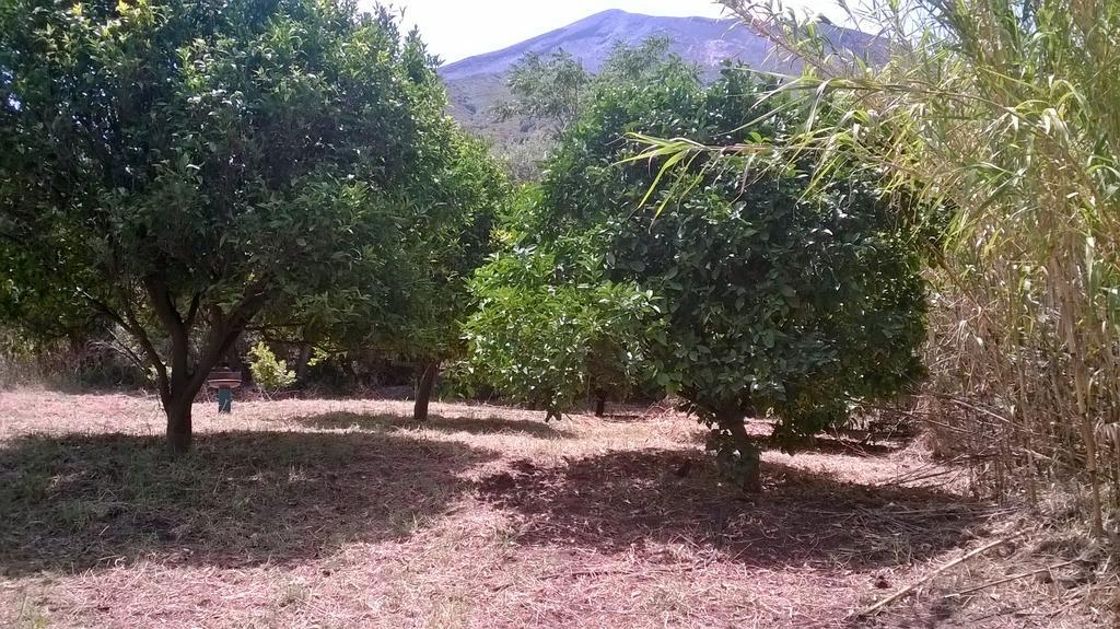 Stromboliparadise Piscita Bagian luar foto